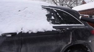 Аккумуляторная воздуходувка Greenworks GD82BPB: обзор и сдувание снега