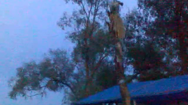 Стоянка за устьем Сейма смотреть онлайн