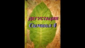 СИМВОЛ 4 - ДЕГУСТАЦИЯ