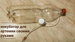 Изготавливаем своими руками инкубатор для разведения науплии артемии из яиц в домашних условиях.