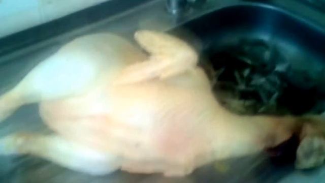 Цветной бройлер-Мастер Грей бройлер который несёт яйца, альтернатива белому бройлеру.