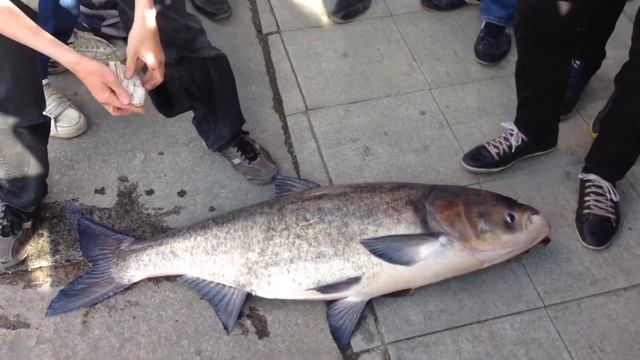 IMG 3480 смотреть онлайн