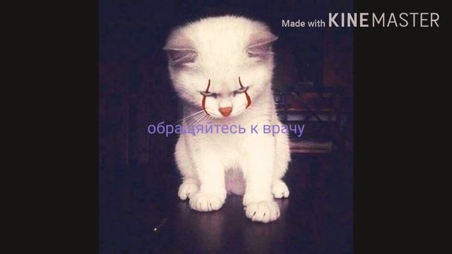 Топ 2 опасных бабочки. смотреть онлайн