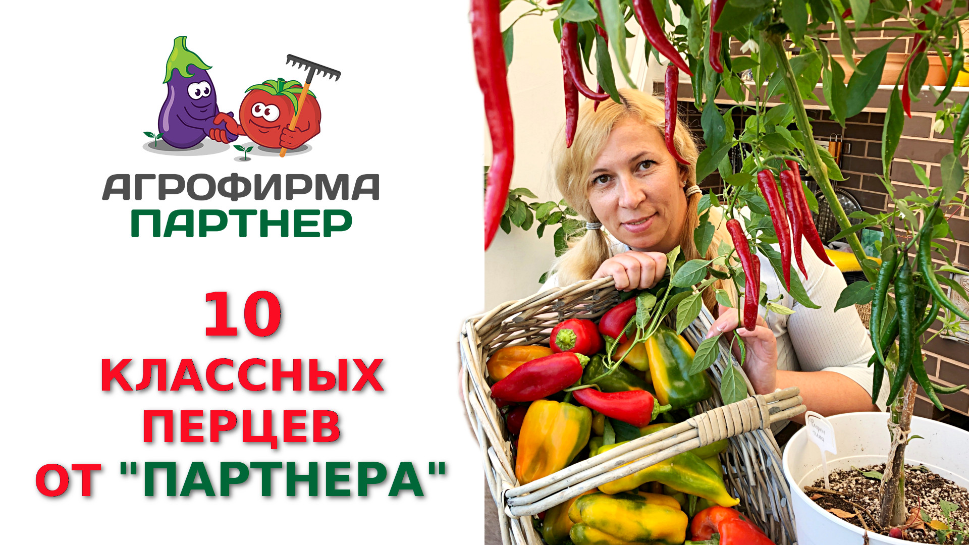 10 КЛАССНЫХ ПЕРЦЕВ ОТ "ПАРТНЕРА" смотреть онлайн