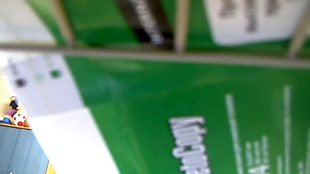 Видео с веб-камеры. Дата: 4 июля 2013 г., 13:03.