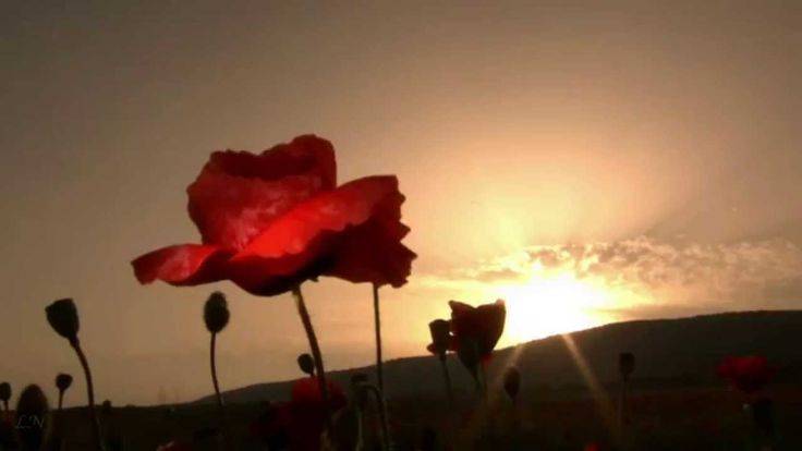 Paul Mauriat and his Orchestra : The Most Beautiful Melodies Оркестр Поля Мориа. Лучшие мелодии смотреть онлайн