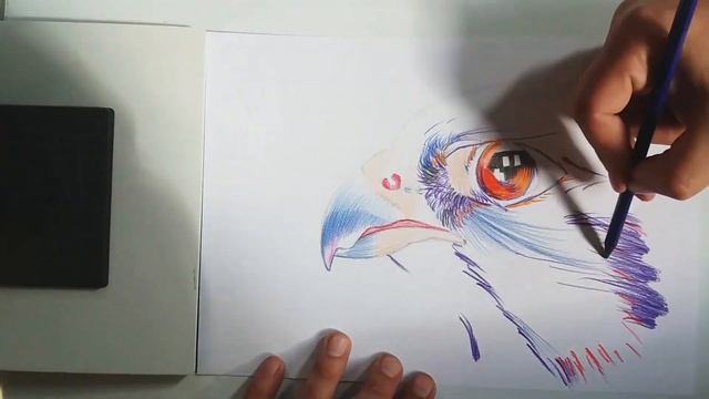 Как нарисовать сокола смотреть онлайн