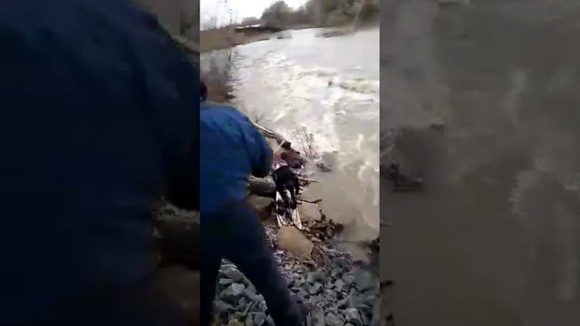 Сёрфинг на струе в реке определение тяги и длины веревки смотреть онлайн