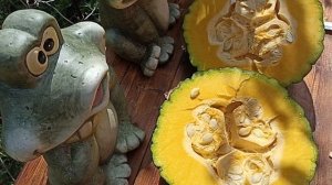 ТЫКВА СОРТ МАРИНА ИЗ КИОДЖА // ЧТО НА ВКУС???