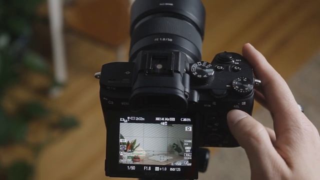 Sony Video Autofocus Settings | AF/MF Button | (a7iii, A7riii, A7siii)