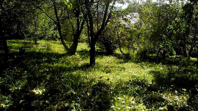 Сонет сонету смотреть онлайн