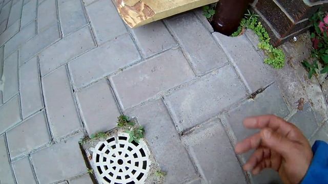 Как сработал антисептик для обработки древесины против насекомых! смотреть онлайн