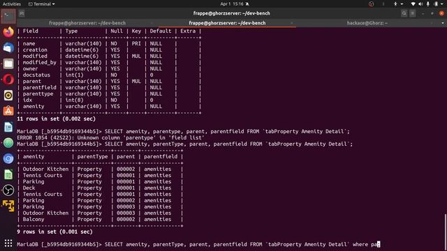 16. Frappe Controller, ORM and SQL in - ERPNext смотреть онлайн