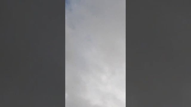 Стая птиц приняла меня за своего! Кружим с ними в восходящем потоке ? смотреть онлайн