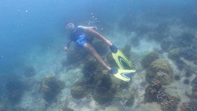 Snorkeling Tour Underwater Odyssey 1-3-2023 • Экскурсия Подводная Одиссея Паттайя 1-3-2023 часть 12 смотреть онлайн
