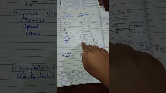 Gastrointestinal track || GIT || Physiology || Guyton & Hall || part# 2 смотреть онлайн