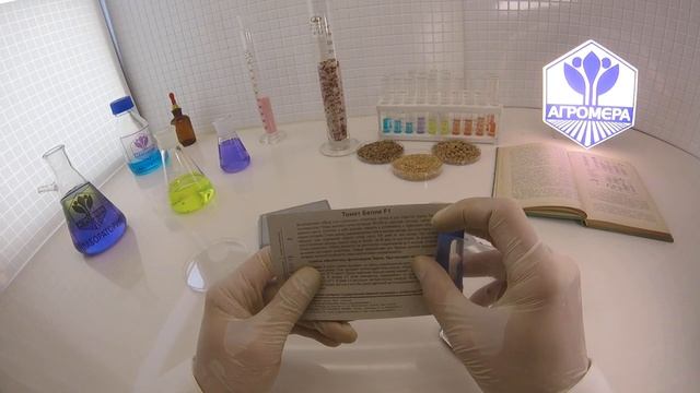 Томат Белле F1. Планета семян смотреть онлайн