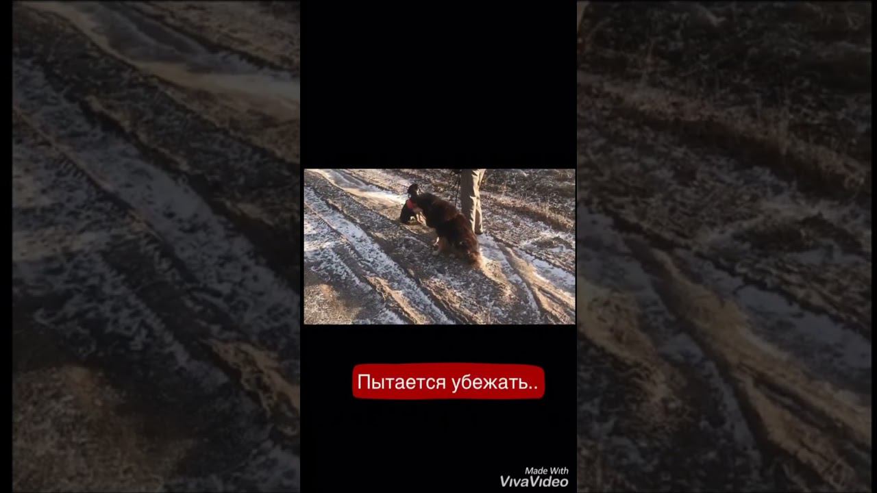 Преодоление страхов(петарды) смотреть онлайн