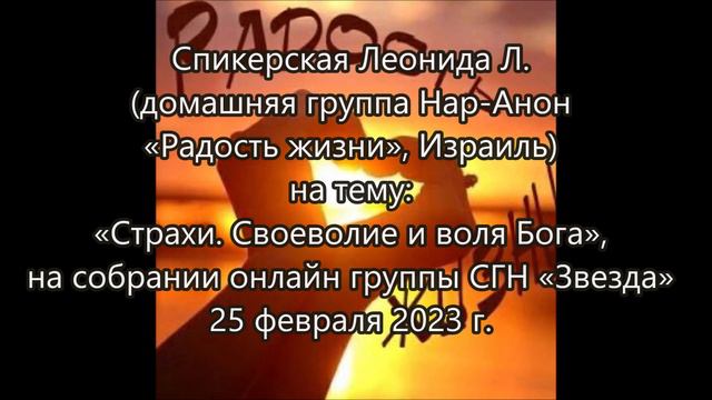 Спикерская Леонида Л (Израиль) на тему «Страхи. Своеволие и воля Бога», на группе «Звезда», 25.02.2 смотреть онлайн