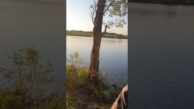 Как правильно рубить дрова смотреть онлайн