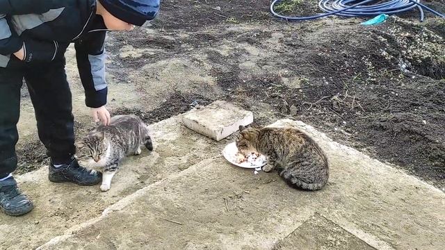 Во сколько нам обошлись окна смотреть онлайн