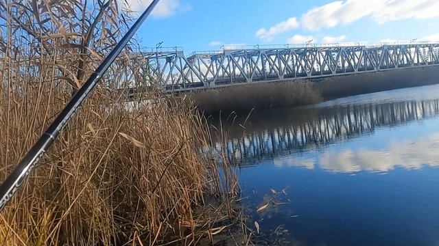 Все секреты ловли окуня осенью по холодной воде! Как ловить по траве на реке? смотреть онлайн