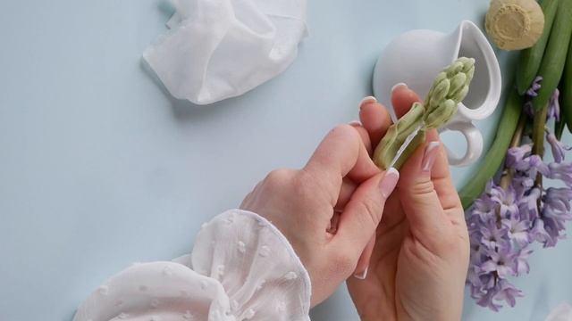 Гиацинт часть 2 смотреть онлайн