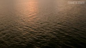 Материк Африка: Колыбель цивилизации | Интересные факты про Африканский континент