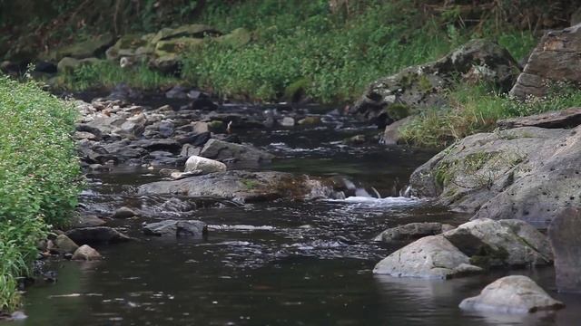 Релакс, Горный ручей для Cна, Звуки природы. Шум воды. Пение птиц. Горный ручей. смотреть онлайн