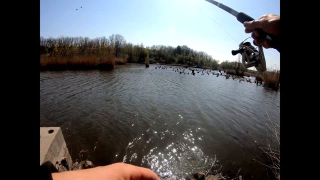 рыбалка в карантин смотреть онлайн