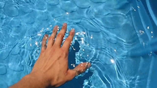 TEACHING BABY BLACK PANTHER HOW TO SWIM ! смотреть онлайн