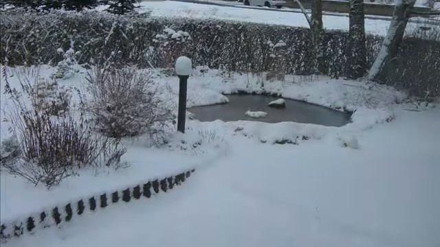 Winter смотреть онлайн