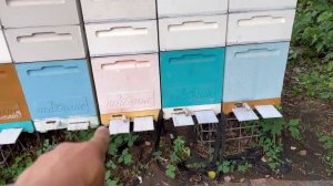 Первая обработка щавелевой кислотой методом сублимации