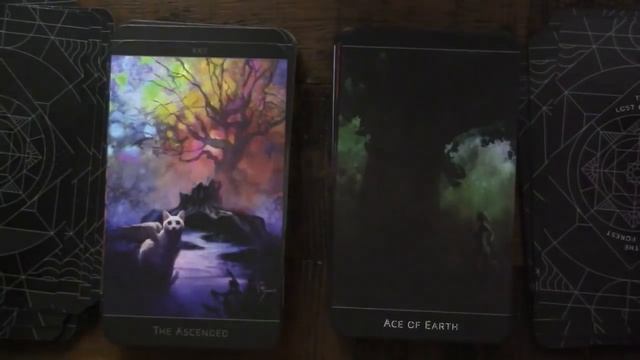 The Lost Forest Comparison смотреть онлайн