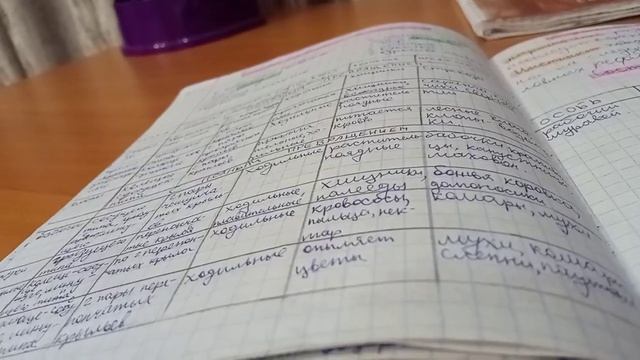 КАК НАЧАТЬ ХОРОШО УЧИТЬСЯ? КАК СЕБЯ ЗАМОТИВИРОВАТЬ? смотреть онлайн