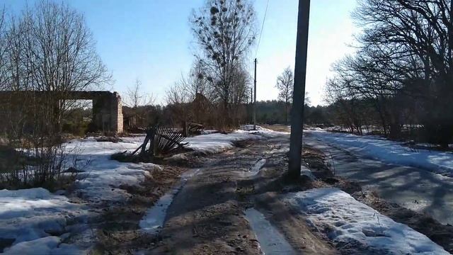 Посёлки Никольск и Берёза (Брянская область, Выгоничский район, Левобережье) смотреть онлайн