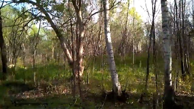 С дачи домой ...пешком до остановки. смотреть онлайн