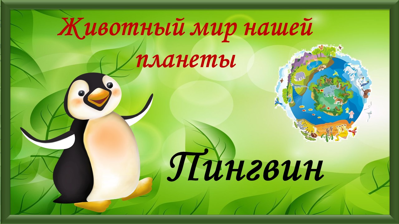 Животный мир нашей планеты. Пингвин