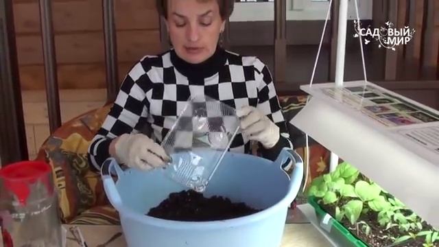 Как сеять капусту. Сайт "Садовый мир" смотреть онлайн
