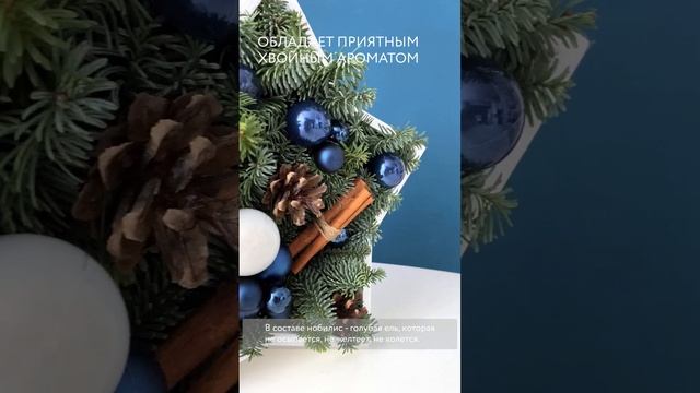 Новогодняя композиция из нобилиса в кашпо "Звезда" смотреть онлайн