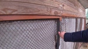 БУРГУНДСКИЕ КРОЛИКИ новые жители моего подворья