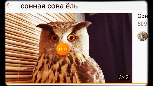 відео.com.ua🦉і🤮рубрика Гумор.ua🤮Смішна Рвота Сова Їолкіна🦉знудило її на цю пісню(ПІШЛА ГЕТЬ)🦉🤢🦉🤮🦉 смотреть онлайн