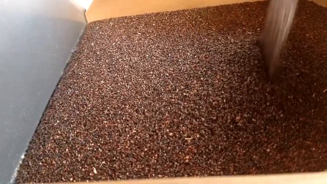 An Ode to the Winnow Wizard смотреть онлайн