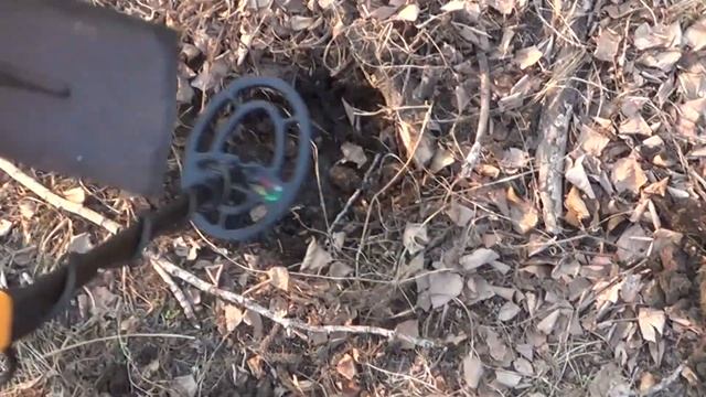 Посылки с Алиэкспресс: китайский металлдетектор - MD6250. Тестирование (первый коп).