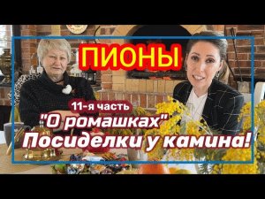 Посиделки у камина. Часть 11. Пионы c простой формой цветка / Сад Ворошиловой