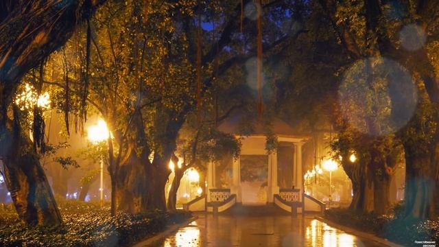 Парень подкармливал уличного бомжа, а спустя полгода, тот пригласил его в ресторан, и узнав кто он… смотреть онлайн