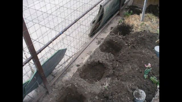 маракуя Северная высаживаю в грунт смотреть онлайн