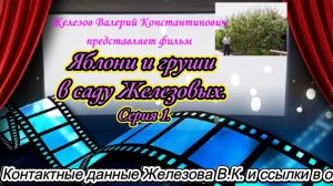 Яблони и груши в саду Железовых. Серия 1.