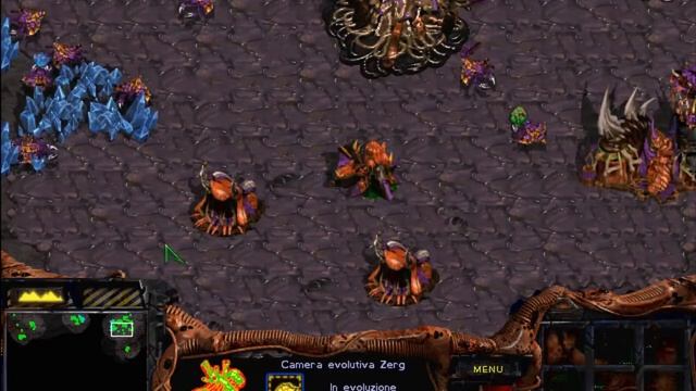 Starcraft 1 Gameplay ITA Parte 19 - Campagna Zerg - Missione 8, Occhio per Occhio смотреть онлайн