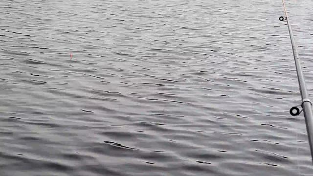 Ловля карася на Секретном озере. Карась на поплавочную удочку смотреть онлайн